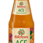 GACE_1l_2024.png